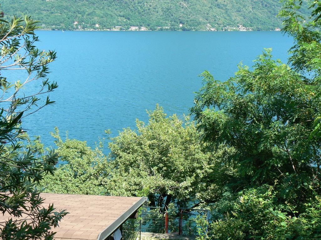 Lakeview & Campsite