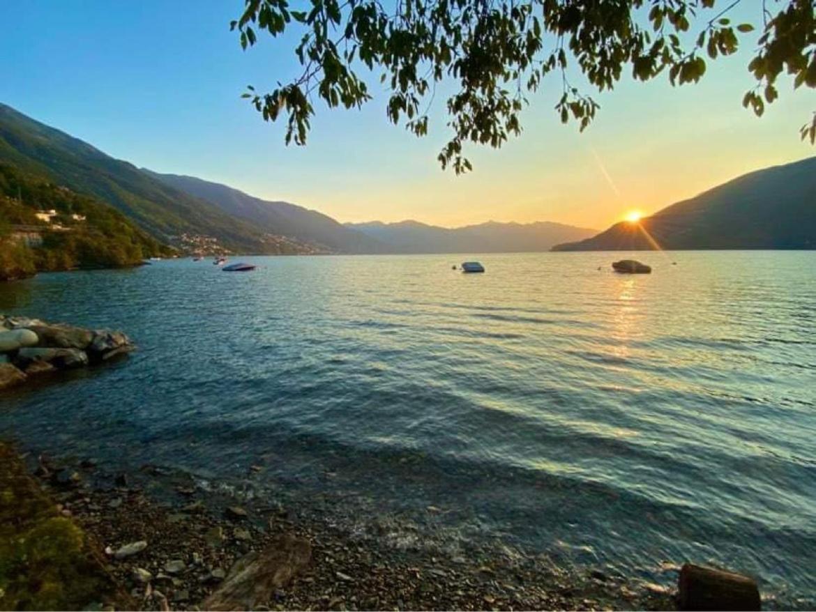 Camping Bosco&village Campeggio *